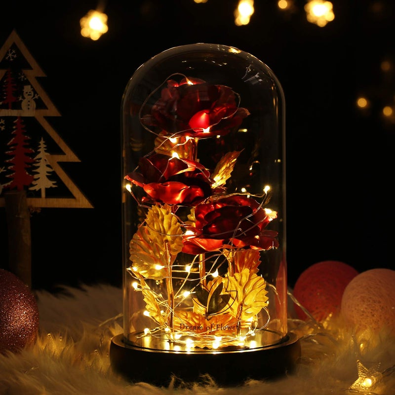 Dream of Flowers Beauty and The Beast Rose,Preserved Flowers Bouquets Gifts,Light Up Rose Flower in Glass Dome,Birthday Gifts for Women,Mom,Girlfriend Wife Anniversary,Valentines,Thanksgiving,Christmas,Wedding - Image 2